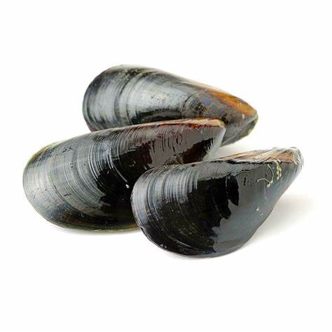 Chilean Whole Mussels 454g